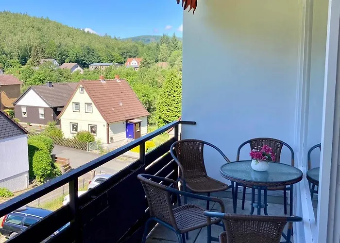 Waldglueck Appartement Wolfshagen (Lower-Saxony)