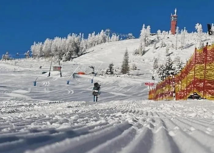 Waldglueck Apartment